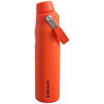 Stanley Aerolight IceFlow Stainless Steel Cold Water Flask, 600ml, Tigerlily