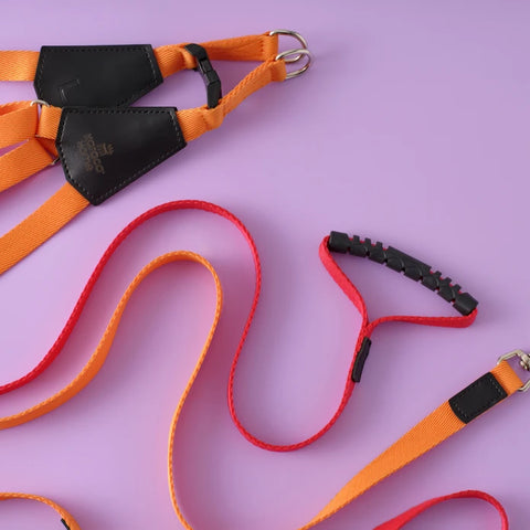 Karaca Home x Pati Red H-Type Dog Harness Large Size, Orange