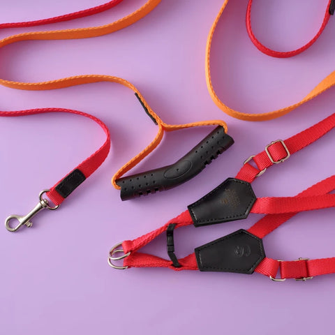 Karaca Home x Pati Red H-Type Dog Harness Large Size, Orange