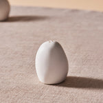 Karaca Earth Collection New Galactic Reactive Glaze Salt Shaker, 7cm, White
