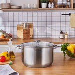Karaca Elite Stainless Steel Induction Stock Pot & Lid, 30cm, Silver