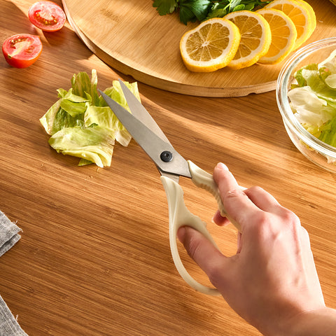 Dr.Inox Stainless Steel Scissors, Cream