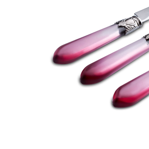 Emsan Celina 24-Piece Cutlery Set for 6 People, Burgundy